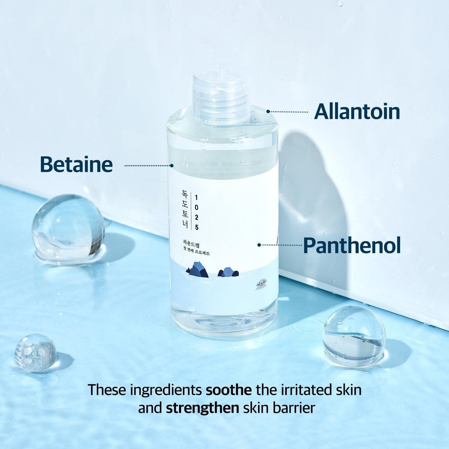 ROUND LAB 1025 Dokdo Toner 100ml - bellubeauty