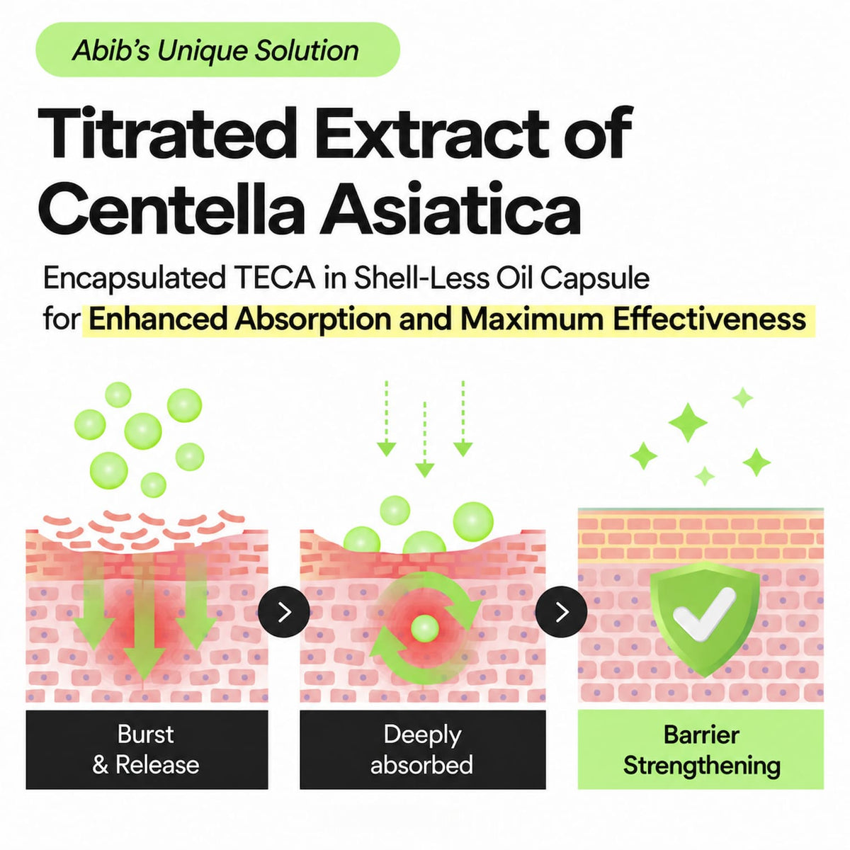 ABIB Heartleaf Teca Capsule Serum Calming Drop 50ml - BelluBeauty