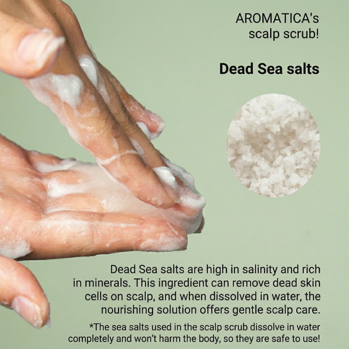 AROMATICA Rosemary Scalp Scrub 165g - BelluBeauty