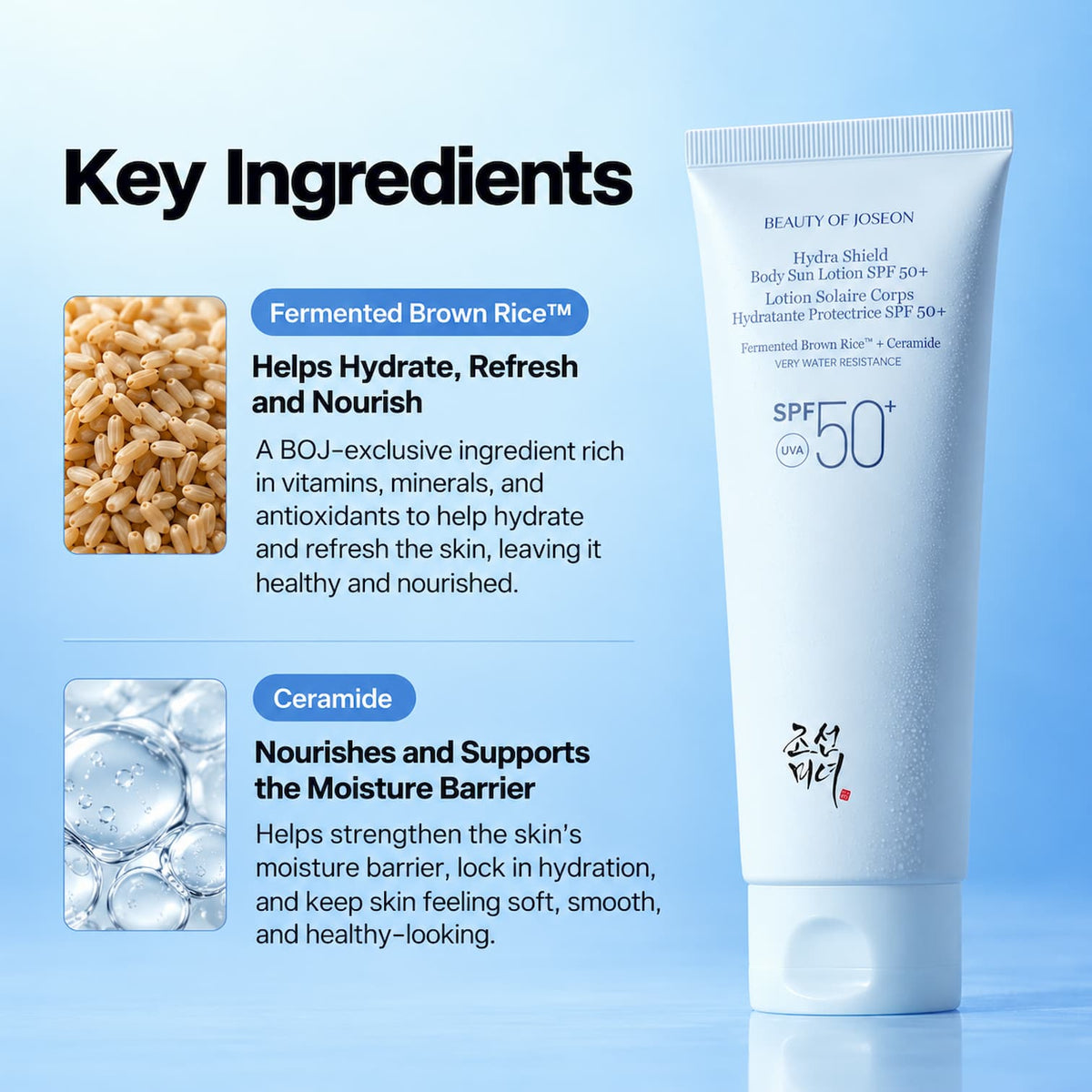 Promotional graphic for Beauty of Joseon Hydra Shield Body Sun Lotion SPF 50+ on a light blue gradient background. It features the product tube on the right and "Key Ingredients" on the left, highlighting Fermented Brown Rice (with an image of grains) and Ceramide (with an image of liquid drops) alongside their skincare benefits.