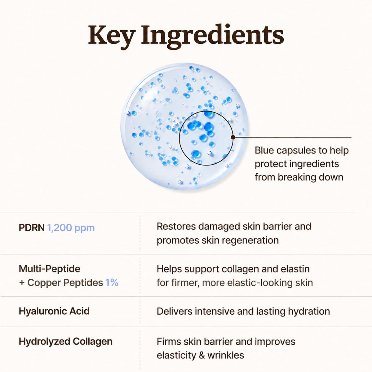 An informational graphic titled 'Key Ingredients' on a light beige background, featuring a petri dish with blue capsules and text explaining the benefits of PDRN, multi-peptide/copper peptides, hyaluronic acid, and hydrolyzed collagen.