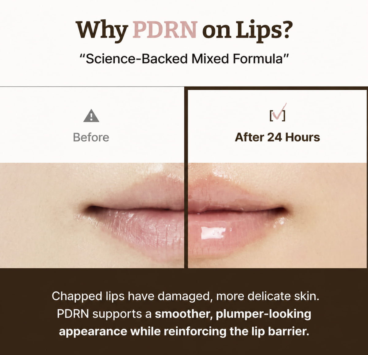 An informational graphic about PDRN for lips, with a before-and-after lip close-up showing glossy, fuller lips after 24 hours, and text explaining benefits for chapped lips