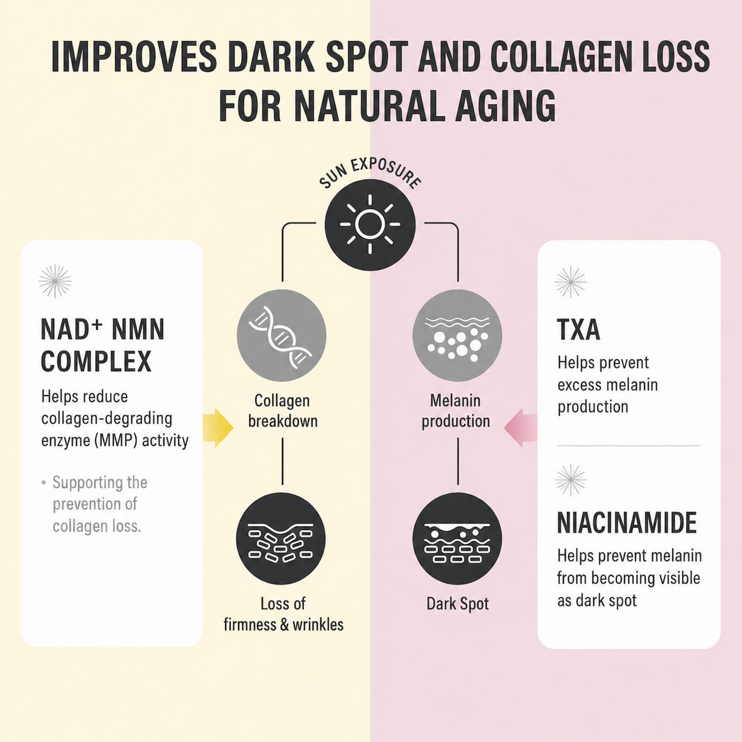 EPII Double Up Cream NAD+ NMN & TXA 50ml - BelluBeauty