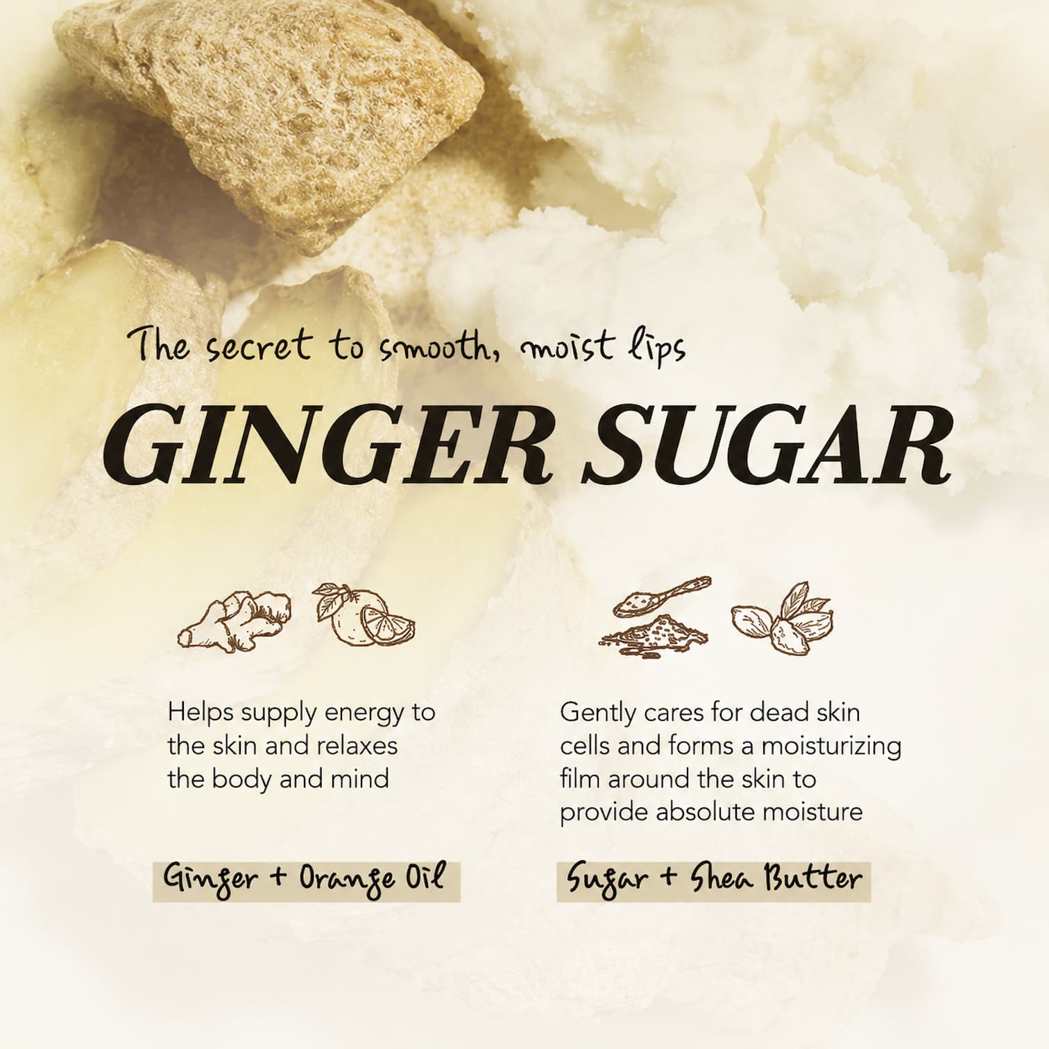ETUDE Ginger Sugar Overnight Lip Mask 23g - BelluBeauty