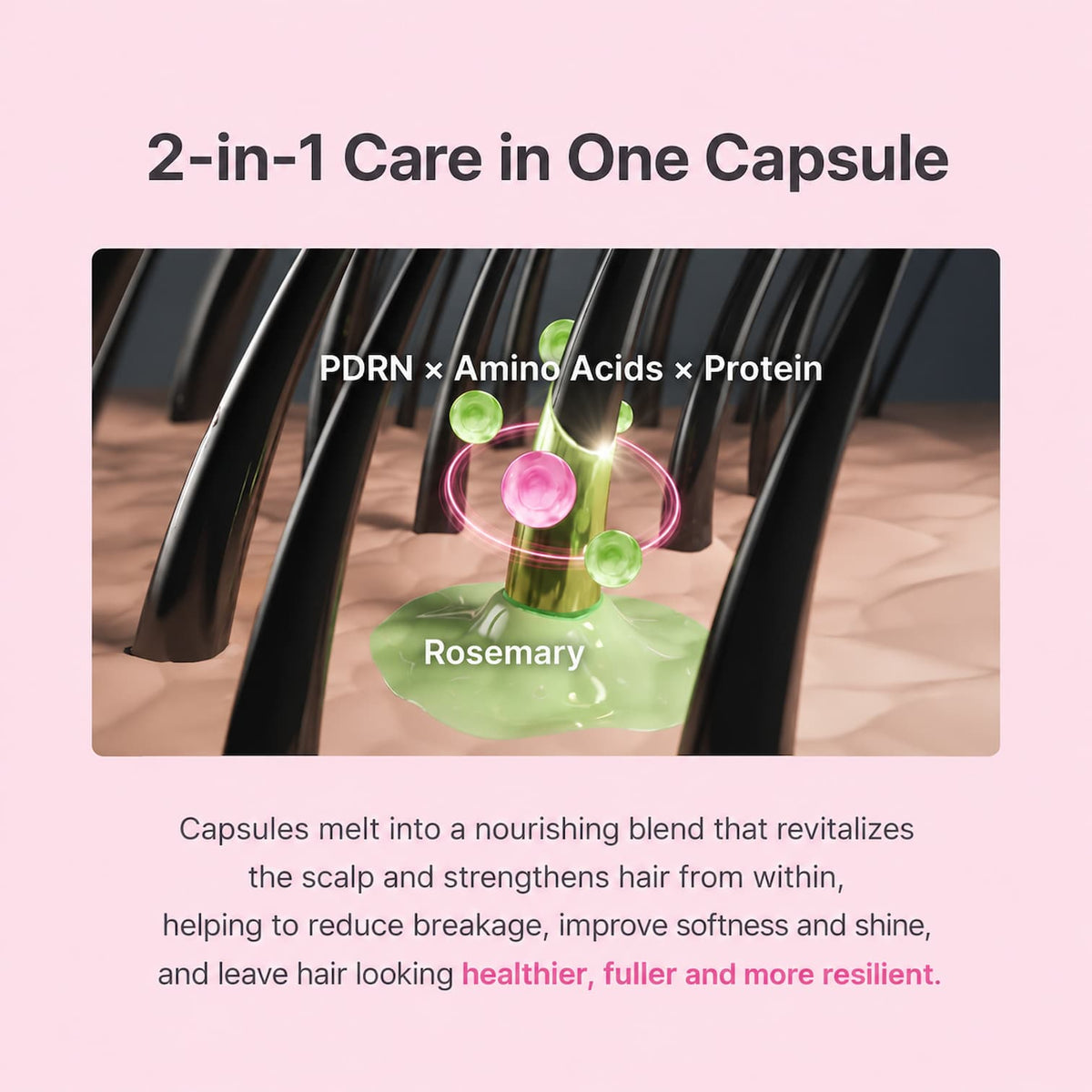 Promotional graphic for MEDICUBE Rosemary PDRN Hair & Scalp Conditioner, featuring a central illustration of rosemary hair strands with a green capsule and text reading 'PDRN x Amino Acids x Protein' and 'Rosemary.' The background is light pink with headline text at the top and descriptive copy below.