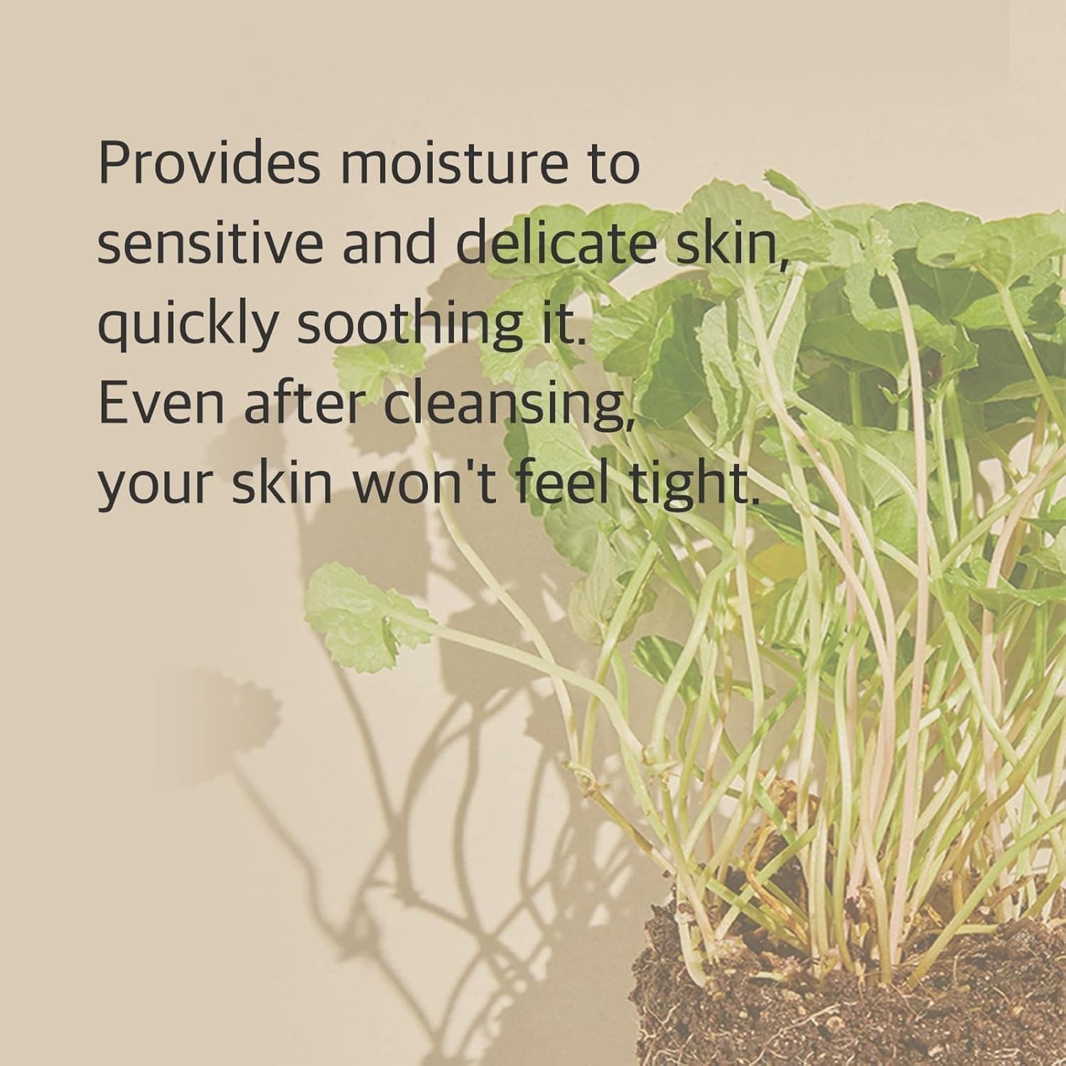 MIXSOON Centella Cleansing Foam 150ml - bellubeauty