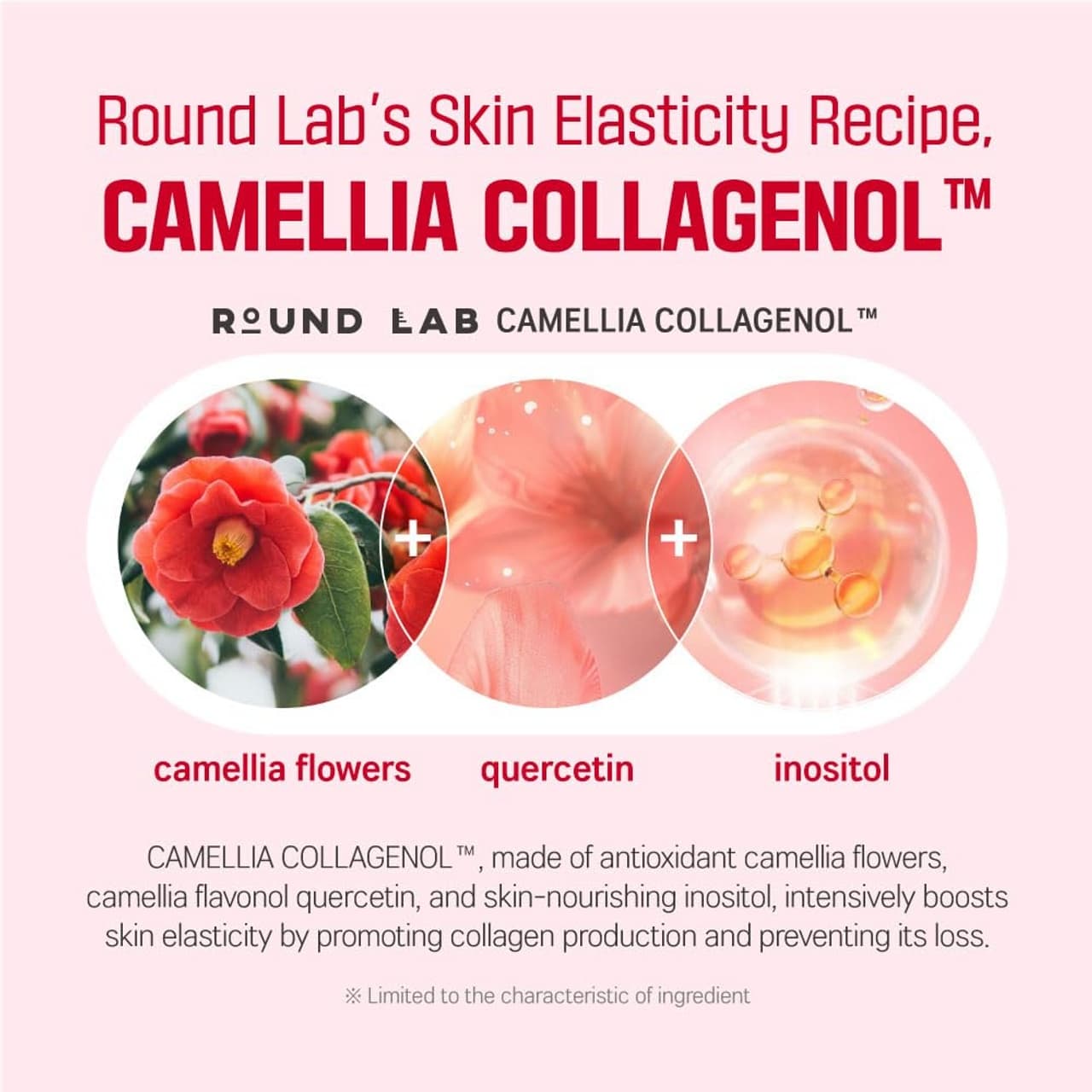 ROUND LAB Camellia Deep Collagen Firming Cream 50ml - bellubeauty