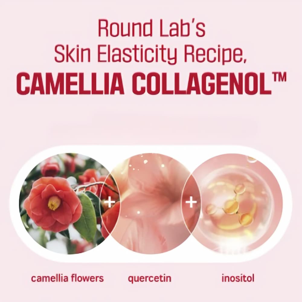 ROUND LAB Camellia Deep Collagen Firming Gel Mask 4pcs - BelluBeauty