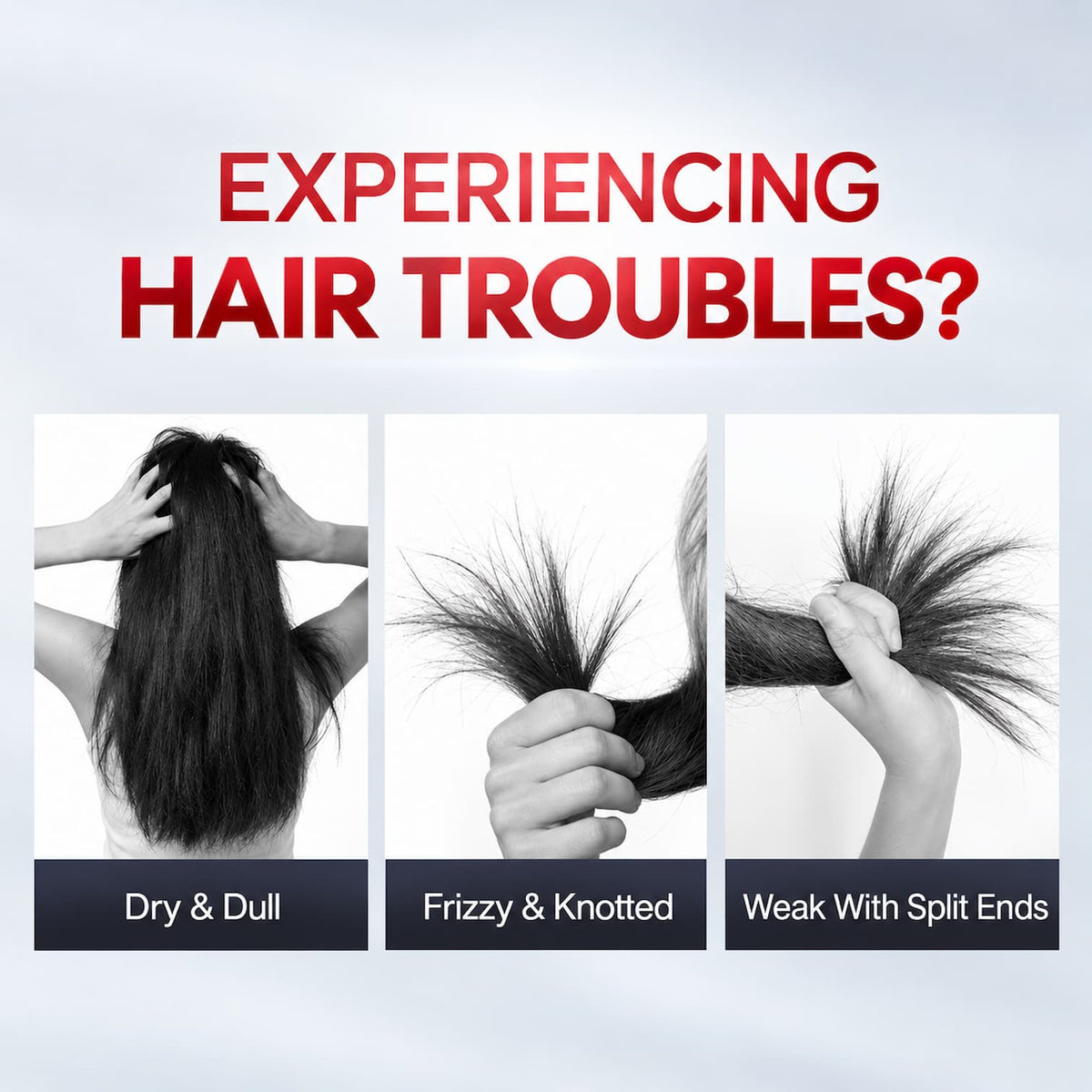 Promotional graphic with the text 'EXPERIENCING HAIR TROUBLES?' above three black-and-white panels showing hands pulling back long black hair, with labels 'Dry & Dull', 'Frizzy & Knotted', and 'Weak With Split Ends'.