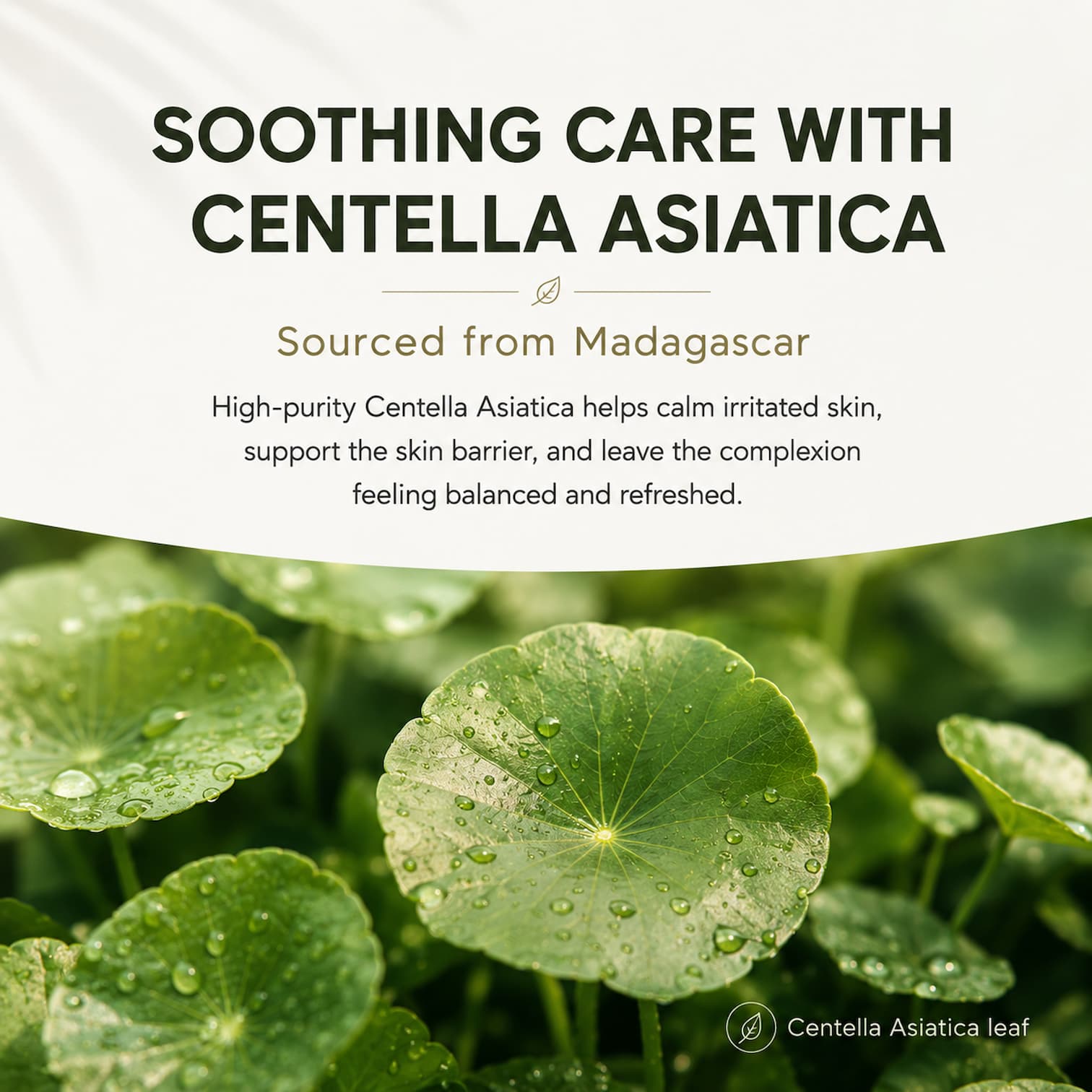 SKIN1004 Madagascar Centella Hyalu-Cica Water-Fit Sun Serum 50ml SPF50 - BelluBeauty