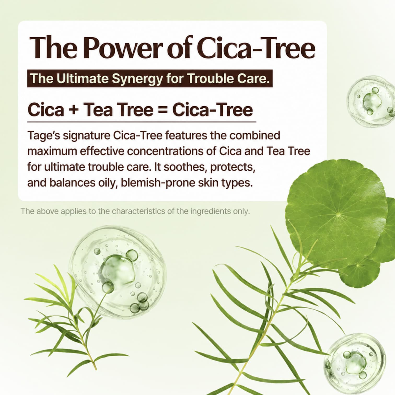 TAGE Cica-Tree Water Jelly Sun Serum 50ml SPF50 - BelluBeauty