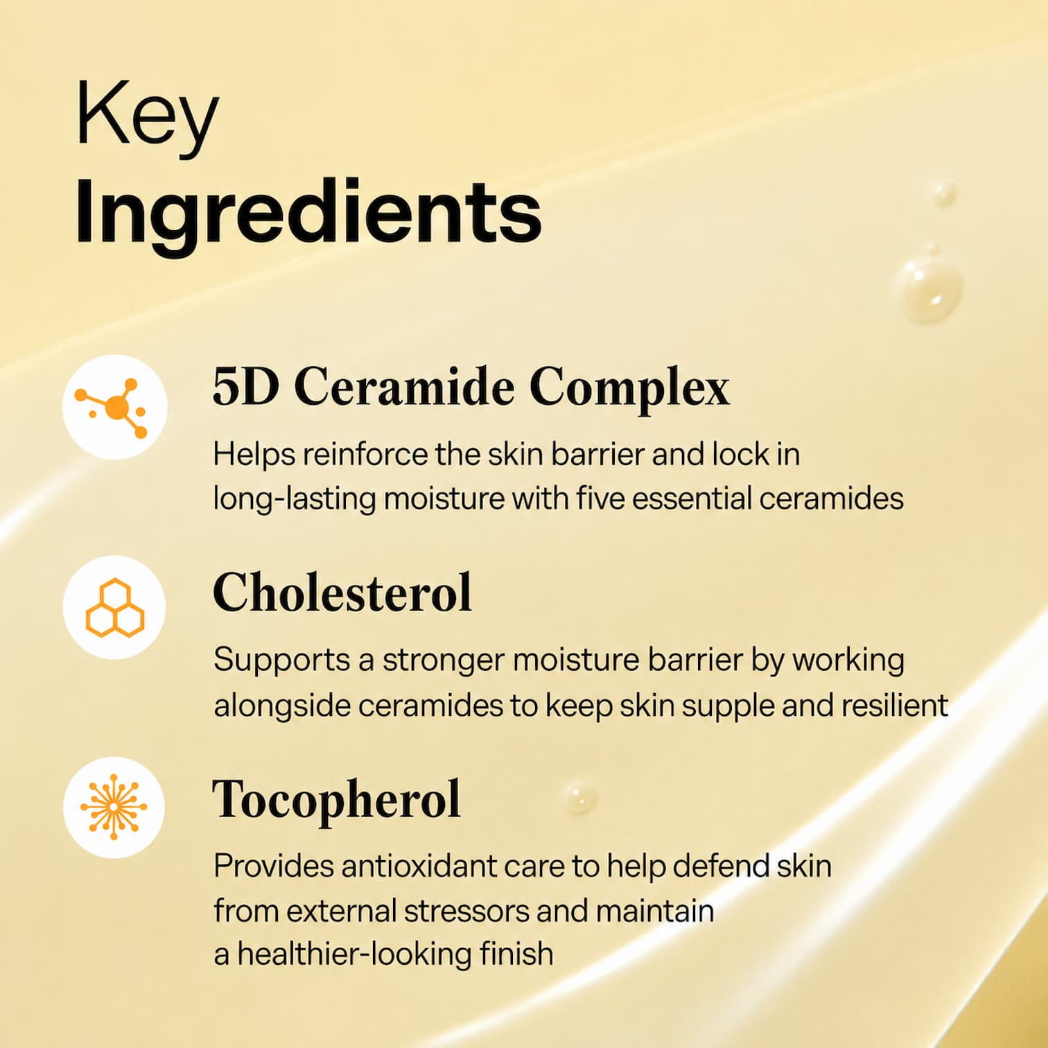 TORRIDEN SOLID IN All Day Essence 100ml - BelluBeauty