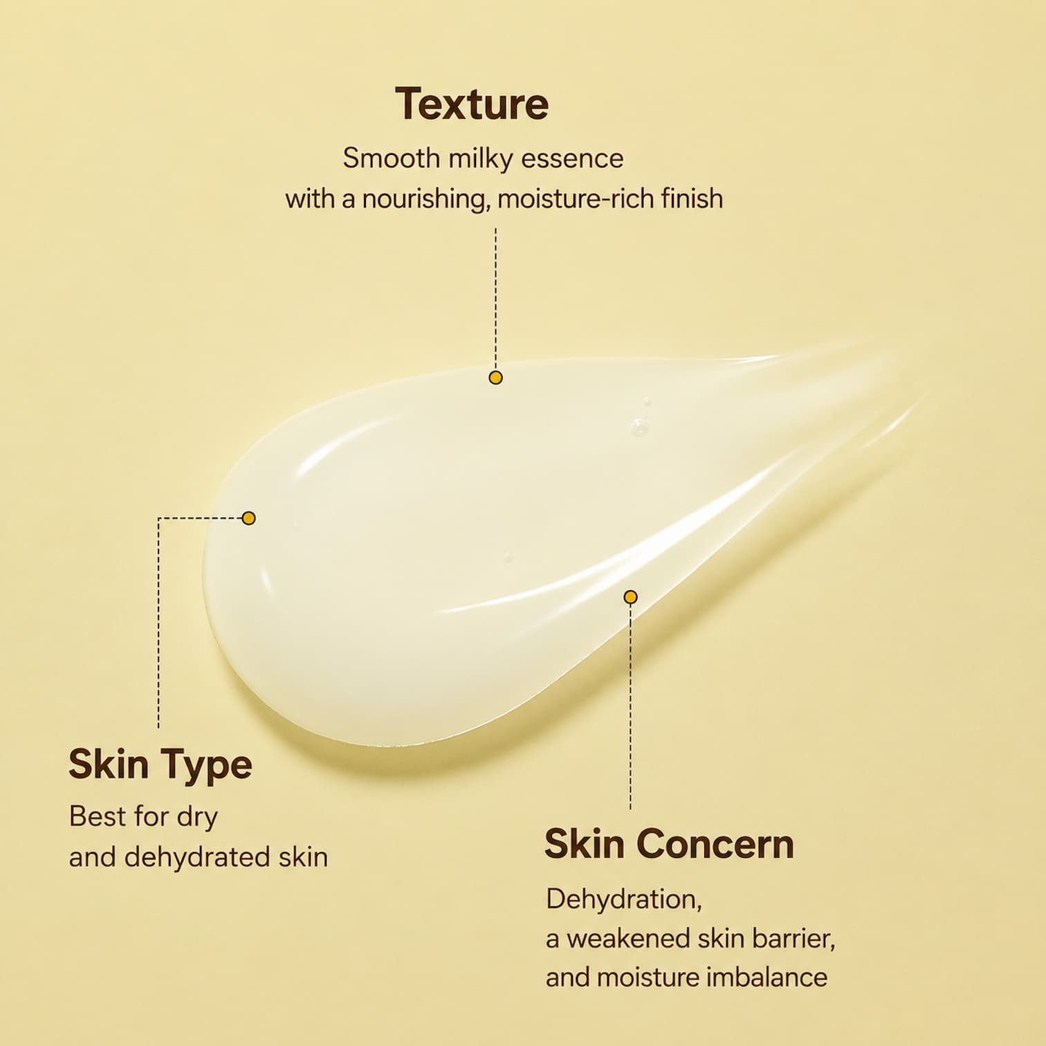 TORRIDEN SOLID IN All Day Essence 100ml - BelluBeauty