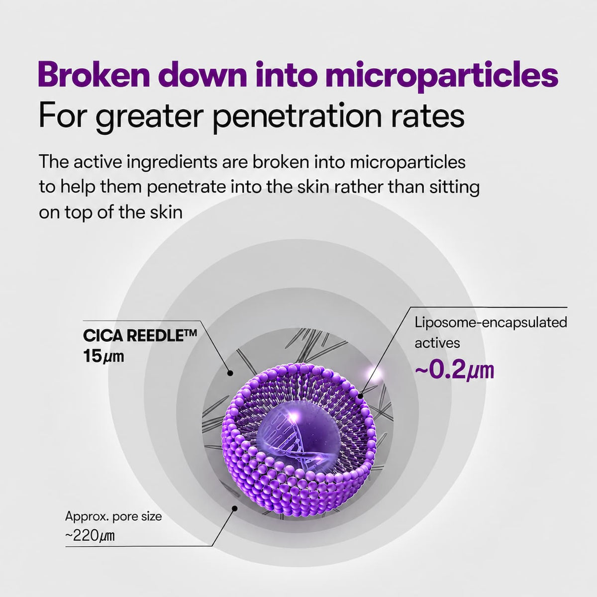 An informational graphic explaining microparticle penetration, with a central purple liposome-style product illustration and text reading 'Broken down into microparticles' and 'For greater penetration rates.'.