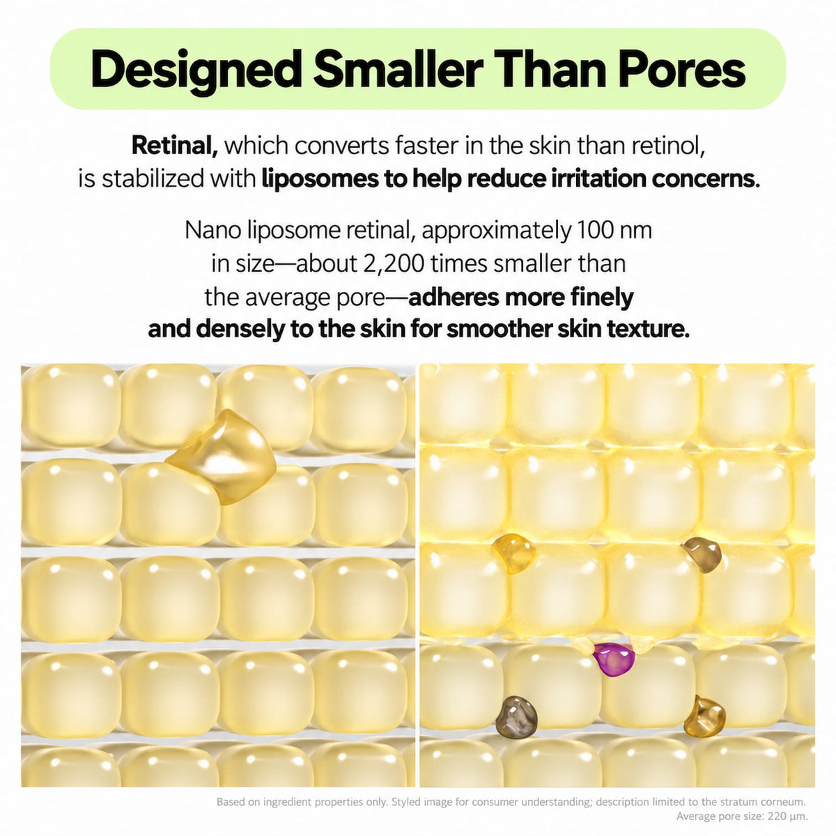 An informational graphic with text explaining liposomal retinal stabilization and size benefits, above a close-up of many small pale yellow lipid droplets in a grid on a white background.